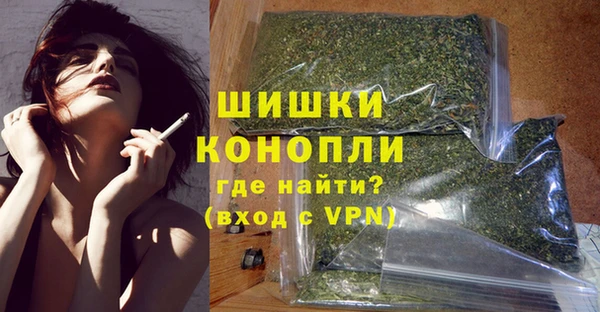 амф Богородицк