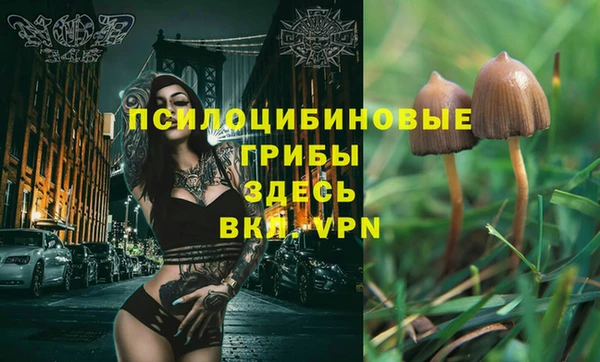 амф Богородицк