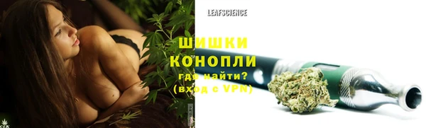 амф Богородицк