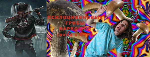 амф Богородицк