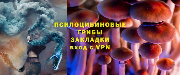 герыч Богородск
