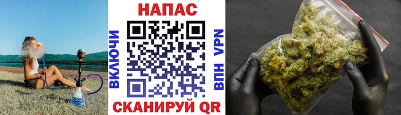 omg ссылка что такое наркотик Неман Каннабис SATIVA & INDICA